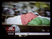 Palestine-1.5