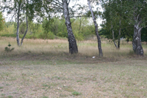 Former Concentration Camp Sachsenhausen